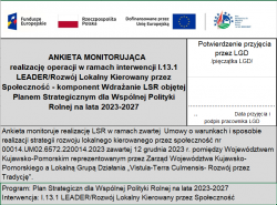ANKIETA MONITORUJĄCA WDRAŻANIE LSR - środki PS WPR
