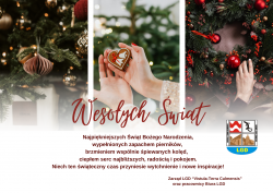 Zdrowych, spokojnych i radosnych Świąt Bożego Narodzenia!!!